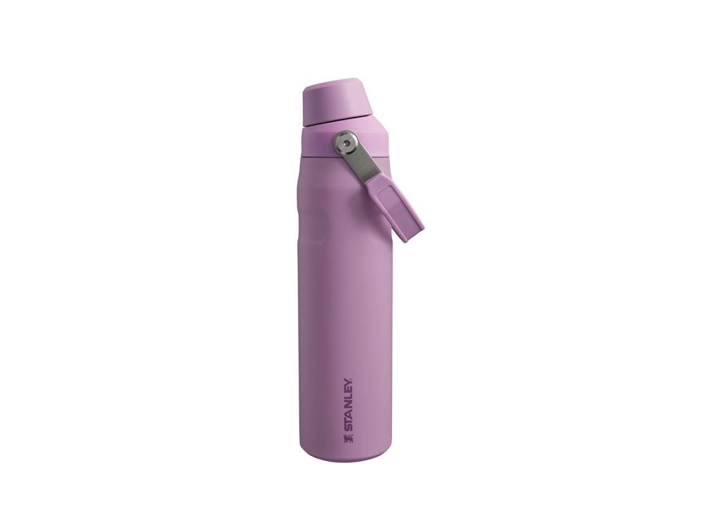 The Aerolight™ IceFlow™ Water Bottle Fast Flow - lilac