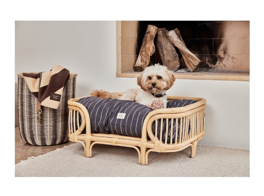 Otto Seil - Hundespielzeug