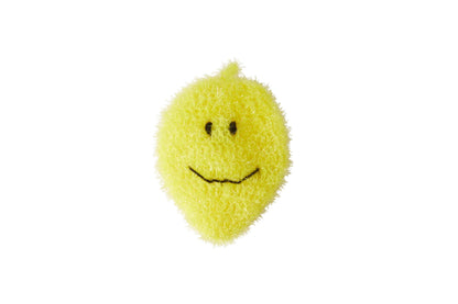 Obst Schwamm  Zitrone