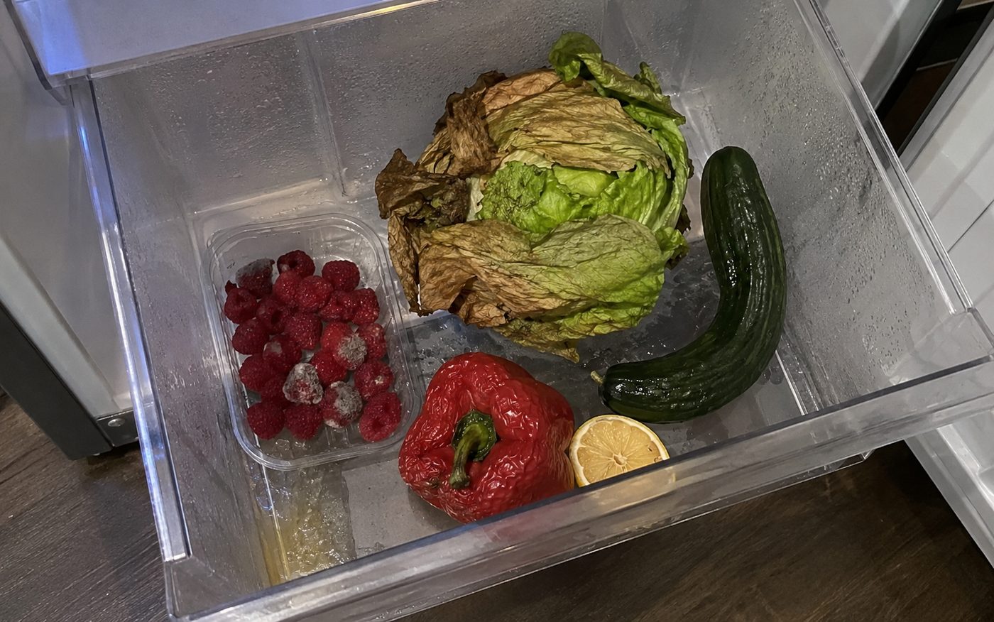 Gemüseschublade mit welkem Salat, schrumpeliger Paprika und vergessenen Himbeeren
